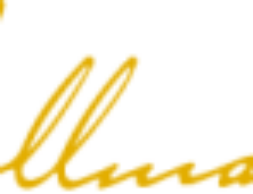 HOLLMANN