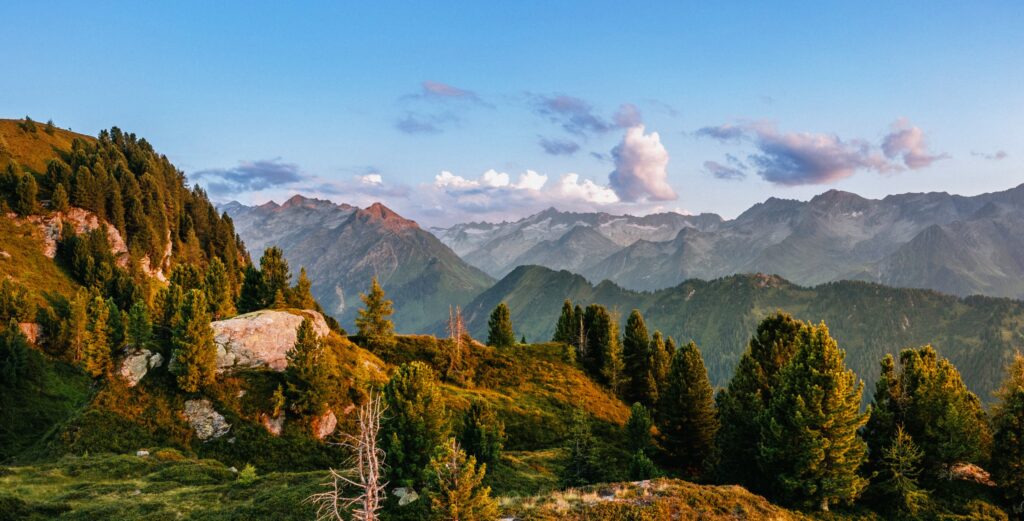 sommerliche_farbpracht_zu_den_abendstunden_wildkogel_arena_neukirchen_bramberg